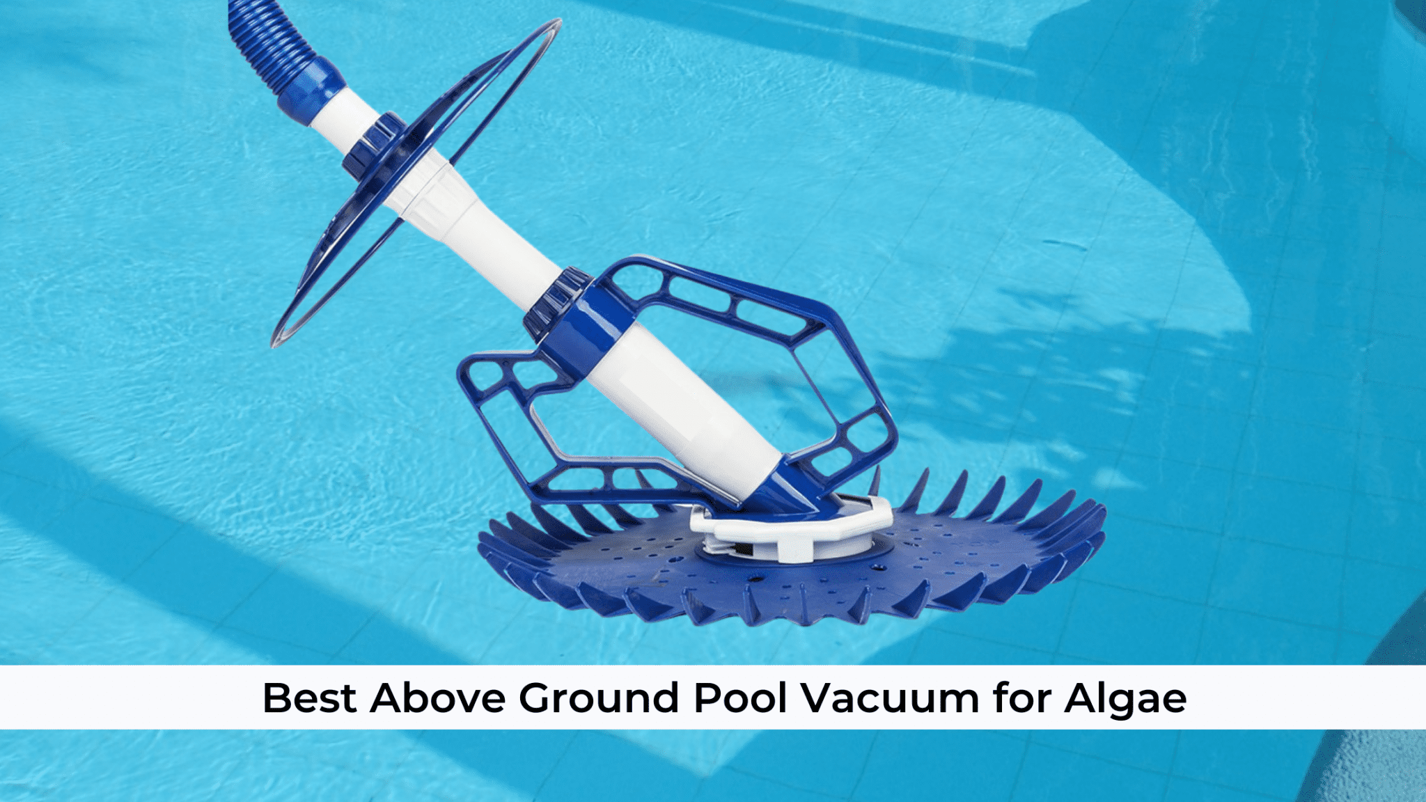 Best Above Ground Pool Vacuum For Algae In 2023